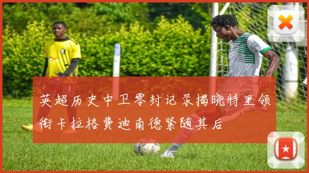 英超历史中卫零封记录揭晓特里领衔卡拉格费迪南德紧随其后
