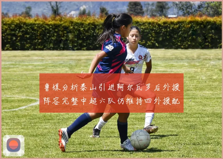 鲁媒分析泰山引进阿尔瓦罗后外援阵容完整中超六队仍维持四外援配置